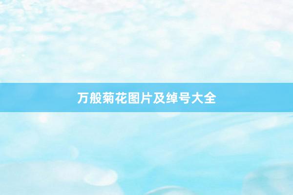 万般菊花图片及绰号大全