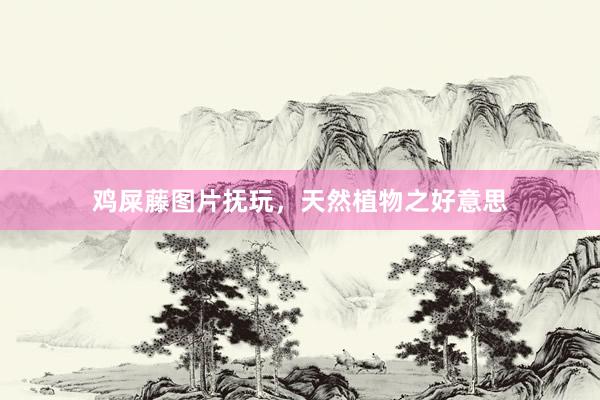 鸡屎藤图片抚玩,天然植物之好意思